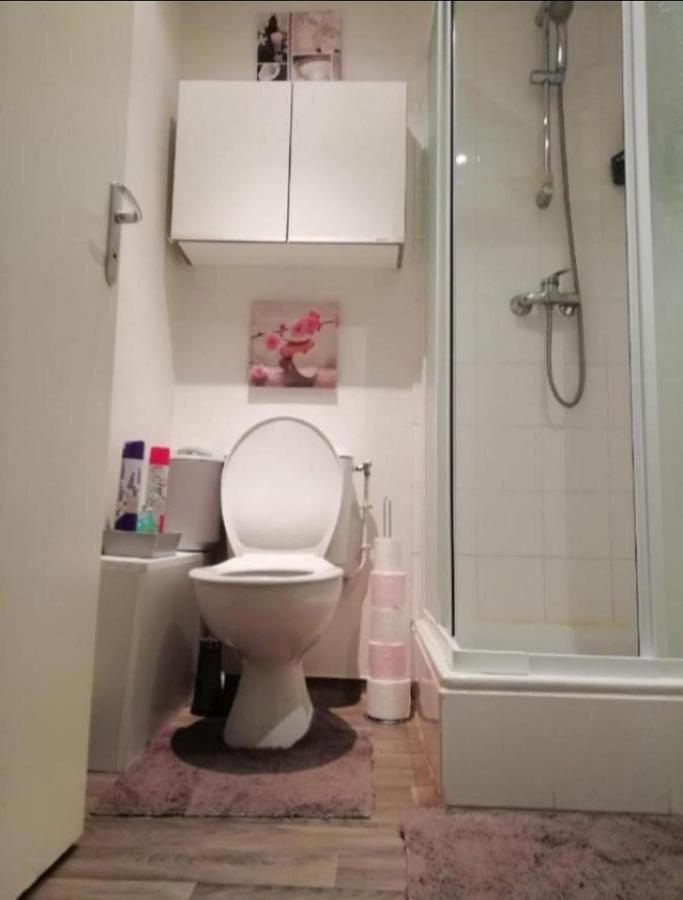 T1 Bis Calme Proche Centre Ville Apartman Saint-Etienne  Kültér fotó