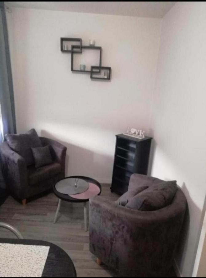 T1 Bis Calme Proche Centre Ville Apartman Saint-Etienne  Kültér fotó